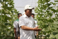 Menteri-Besar-Pahangs-visit-to-Greenhouse-Japanese-Melon-Farm-at-Green-Technology-Park-2